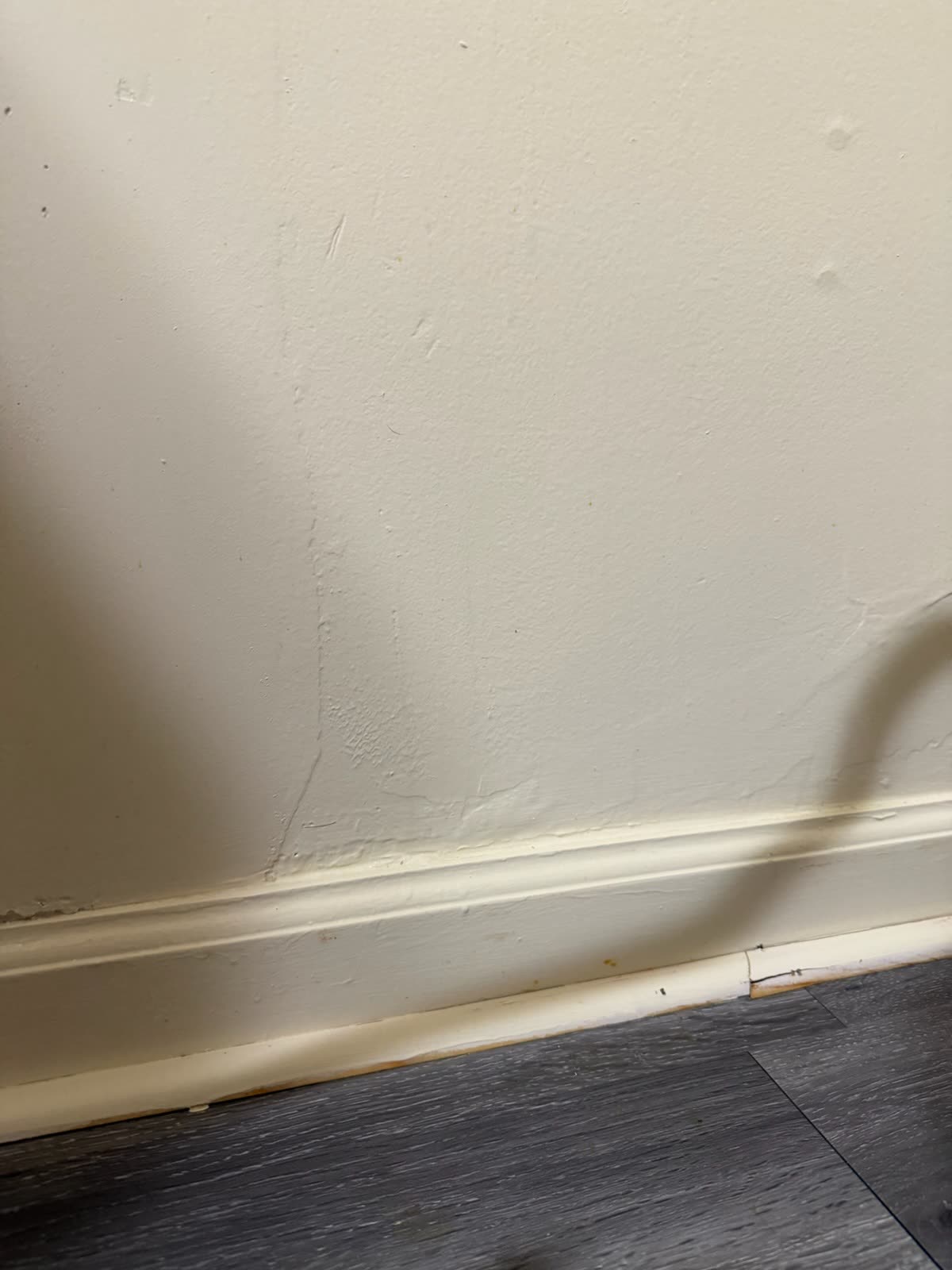 Clean wall and baseboard after cleaning